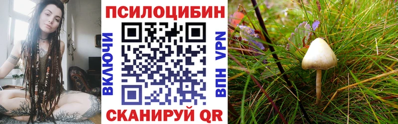 Галлюциногенные грибы ЛСД  закладка  Дорогобуж 